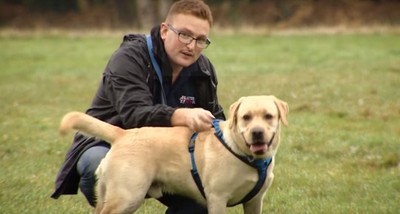 退伍軍人罹患PTSD…養服務犬緩解　卻慘遭餐廳趕出門