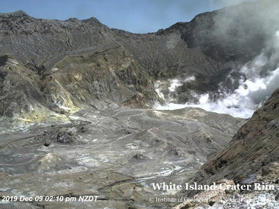 紐西蘭急缺「捐贈人皮」！加訂1290平方英尺　火山倖存者25人危急