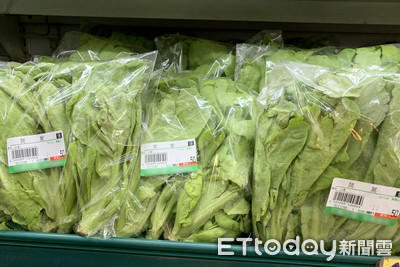 火鍋季來了!茼蒿需求量急速增加 產地賣到好價錢每公斤65元