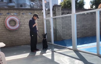 送愛犬去上課...朋友嫌浪費錢「弄剩菜給牠吃就好」　男飼主：我辦不到