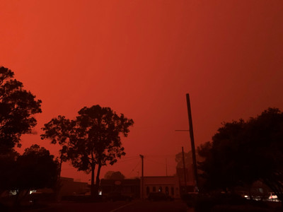 澳洲野火整片天空「染成血色」　滾燙灰燼掉落…4000人躲海裡逃難