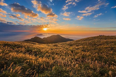 春節甩油看這！「台北大縱走」7天消耗熱量38000大卡　抽紀念好禮