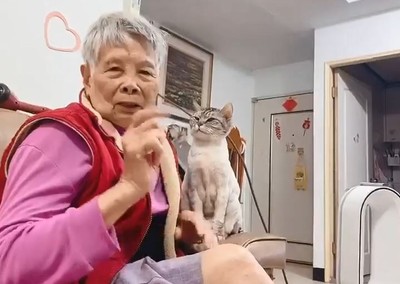 貓點完耳藥「找嬤猛蹭頭」討拍！　她寵孫指責無辜姊：踹共喔