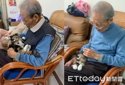 98歲爺初見貓曾孫！　慈祥輕撫不捨牠返家：留下來陪我