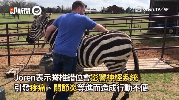 ▲Joren研究動物骨頭構造已久，至今替不少動物減去苦難。