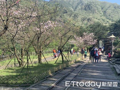 越晚越冷!低溫探14度「最冷時段」曝光 清明連假雨神攪局