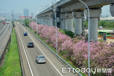 大反差！國5南下車多「紅通通」　景區熱點全台都「綠燈」