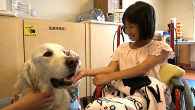 治療犬伴3000病童度難關！「神醫」貝利退休前陪10歲小女孩動大手術