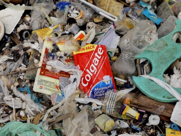 ▲塑膠垃圾流入海洋中會造成環境與生態污染。（圖／路透社）