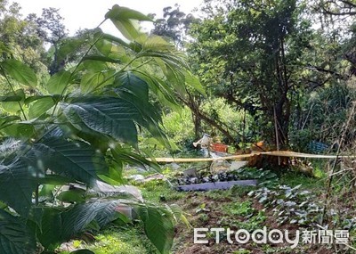 前天才到職...隔天就失蹤！職員陳屍「文化大學旁草叢」　爸媽翻遍校園崩潰