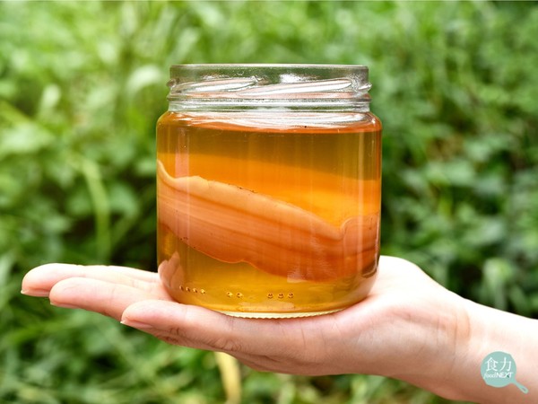 ▲康普茶又叫冬菇茶、紅茶菌，是源自於中國的茶飲，在加糖的茶中混合細菌和酵母發酵而成。（圖／食力 foodnext提供）
