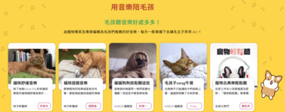 KKBOX推出專屬毛小孩企劃　資深貓奴、獸醫分享「寵毛」冷知識