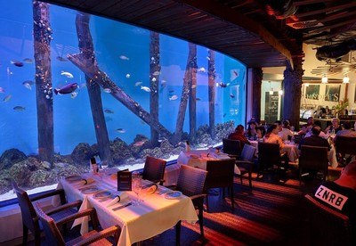 「在魚面前吃魚」 動保團體PETA痛批澳洲水族館餐廳太殘忍