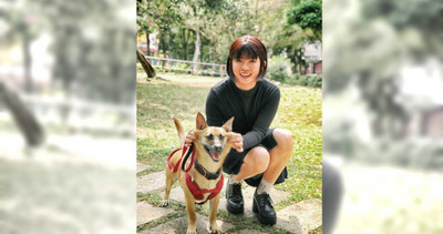 要求別理其他狗!霸道汪「愛的迫降」直戳女星橫膈膜…痛到差點往生
