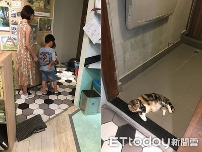 孩子興奮對店貓狂吼！　霸氣媽秒阻止「理性教育一段話」萬網推爆