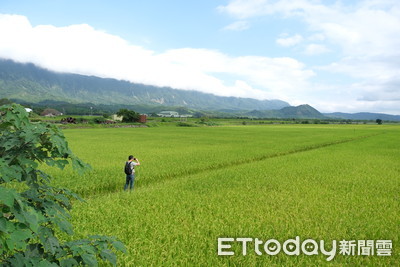 上周再添12例恙蟲病！國旅爆炸「出遊當心戶外草叢」