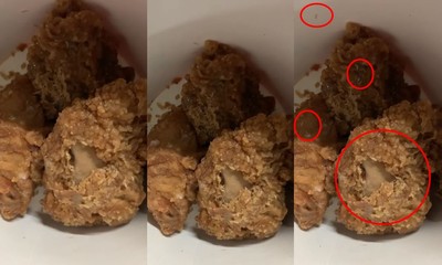 餓了想吃「放一天炸雞」！才要咬見衝擊一幕　頭皮超麻：差點吃高蛋白大餐