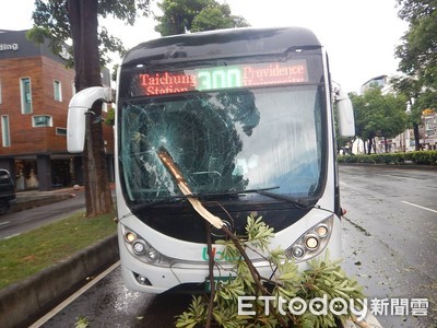 快訊／午後雨彈狂炸！台中路樹倒塌釀2意外　刺穿公車前擋...騎士慘摔傷