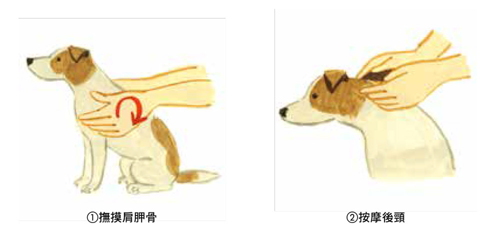 台湾东贩《狗狗的家庭医学百科》