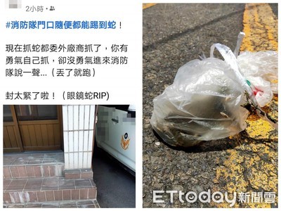 消防隊前亂棄屍…打開驚見「長蛆眼鏡蛇」！他嘆：有勇氣抓卻不敢通報