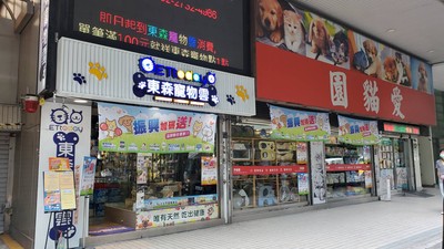 用三倍券寵愛家中毛小孩的胃　11大寵物品牌聯合特賣最低只要99元