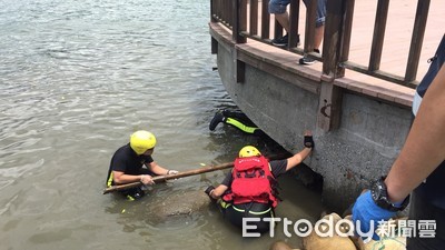 快訊／「半顆人頭」漂河面！關渡大橋觀景台釣客嚇壞　警驗DNA釐清身分