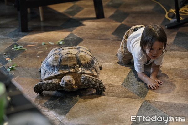 幼儿模仿小动物的动作图片