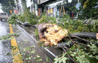 颱風巴威強襲！濟州島廣告招牌「飛炸」毀公寓外牆　道路塌陷轎車連環撞