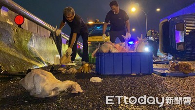 運雞車國道1號猛撞回收車翻覆　風雨中「屍橫遍野」釀回堵2公里