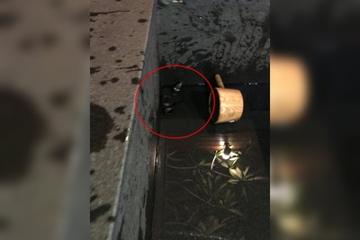 花蓮民宿過夜 ... 泡澡一半漂來「黑白樹枝」!她用手一撥嚇壞尖叫