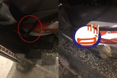 半夜幫阿嬤移車 車廂竟探出「黑色長條」！她嚇壞開燈…一看糗了