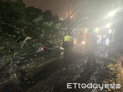 快訊／汐止勤進路山區風雨樹倒　30歲女騎士撞上受傷送醫