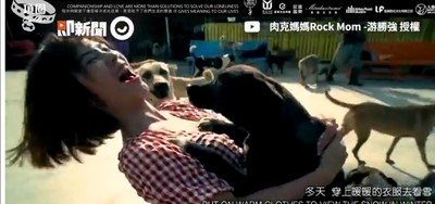 為浪浪發聲「想要專屬項圈」!她們飆唱毛孩小願望…網淚推爆