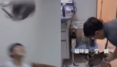 新竹虐貓3兄弟！硬抓當飛盤互拋　男大生自稱「亂咬垃圾」遭打臉