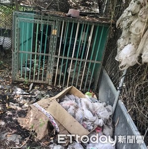 「1個禮拜只餵1次」養3犬環境如垃圾堆　家畜疾病防治所怒開罰