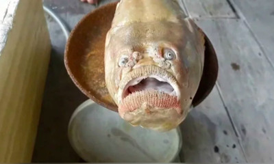 出海捕到「人面魚」！張嘴皺眉像「苦瓜臉醜人」　33歲漁民嚇到不敢吃