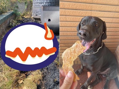 燒完金紙進屋休息...高山犬突然「麻麻號」　她一看發現驚悚畫面