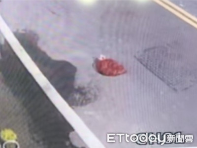 虎尾「一袋青蛙大逃亡」 網笑翻:牠們一定看過海底總動員