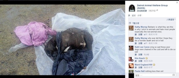 美国公园变宠物坟场 融雪后民众赫见33具狗尸