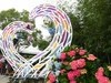 2021桃園繡球花季展開　枕頭山路主花區2.2公里