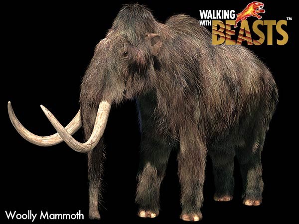 韩俄科学家打算利用复制技术,让史前生物长毛象复活.(图/取自网路)