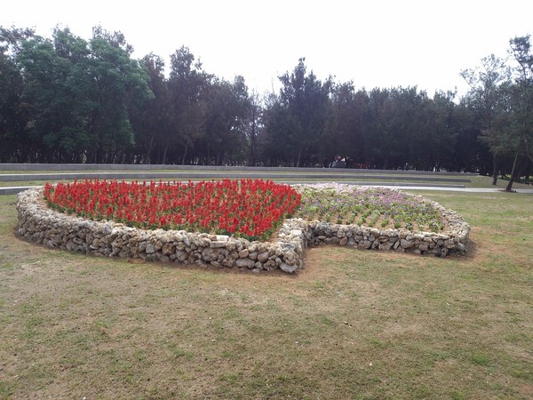 澎湖林投公園變優雅!「雙心造型花海」旅客最愛拍照點