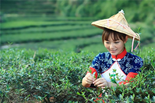 茶水美图女孩图片