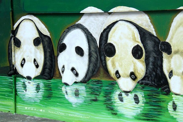 想看圆仔不必上台北!云林3d互动式熊猫彩绘村也好好玩