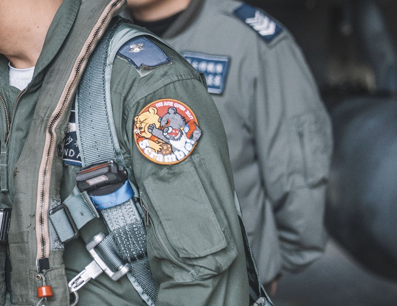▲▼IDF戰機臂章是台灣黑熊揍爆維尼。（圖／青年日報）