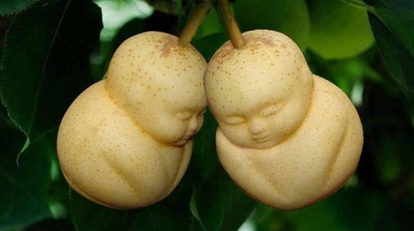 记者姜言理/台北报导 对於家里小朋友不吃水果很伤脑筋吗?