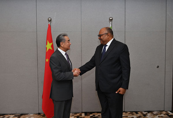 ▲▼見坦尚尼亞外長　王毅：攜手維護聯合國核心地位和國際法權威。（圖／翻攝中國外交部）