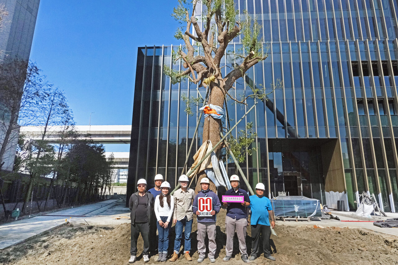 【廣編】長虹建設跨城移植保留80歲樟樹　長虹基金會接力守護城市綠意