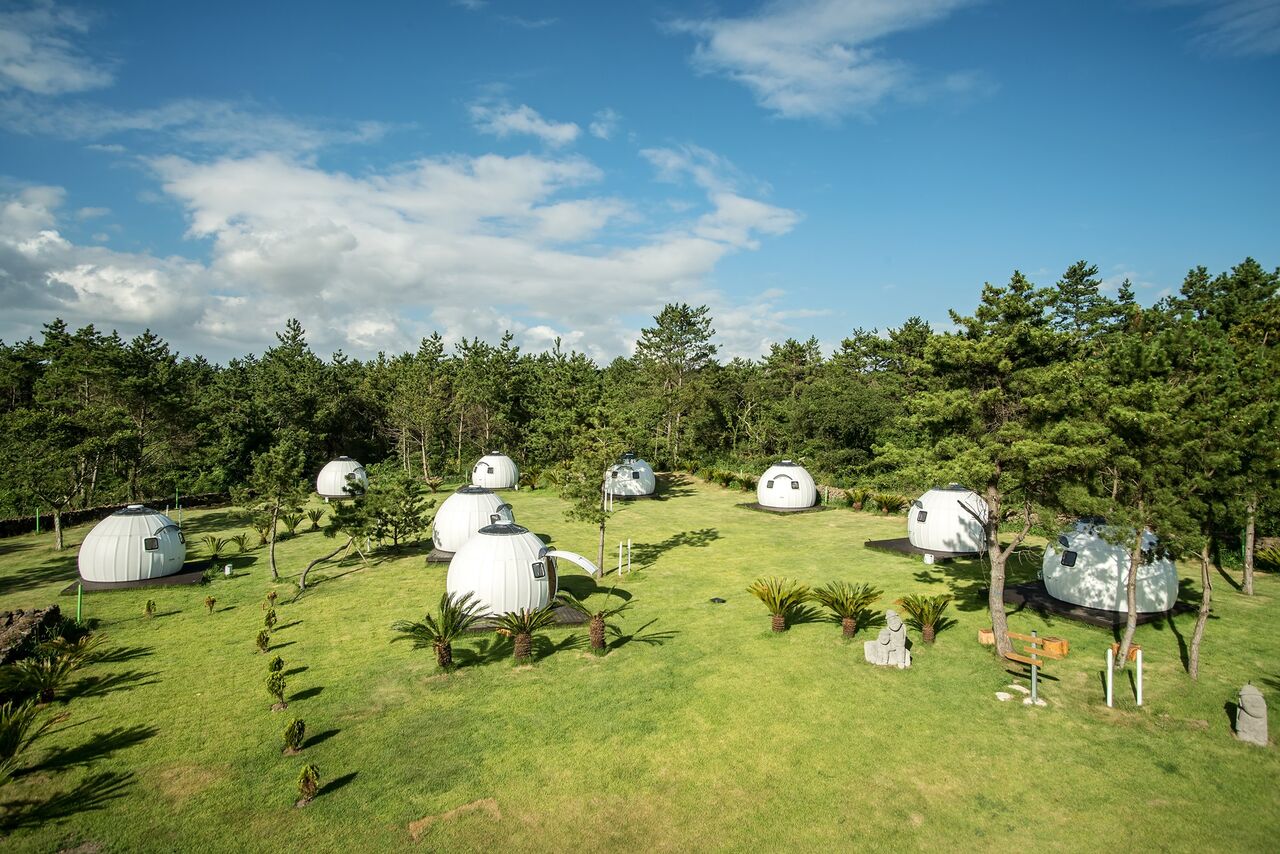 LIFE經典／超萌圓球屋Ezdome House好療癒　開發原因有故事